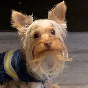 Meet your Posher, Christine